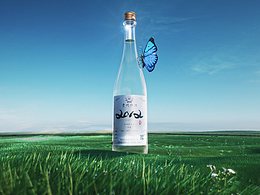 贵州珍酒—环保片