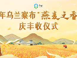 燕麦庆丰收海报 插画手绘