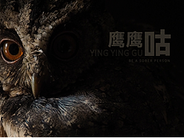 密涅瓦的猫头鹰