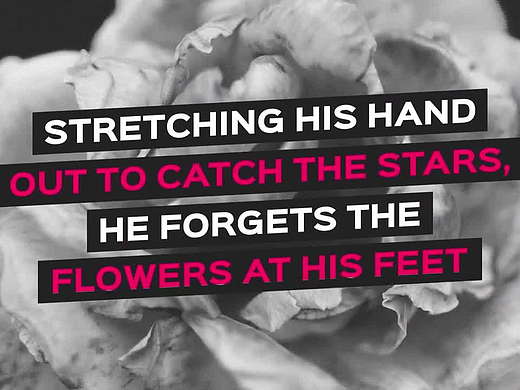 PR模板|外观简洁专业设计时尚创意动画全屏社交媒体