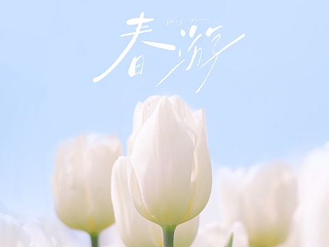 郁金香想“开”了