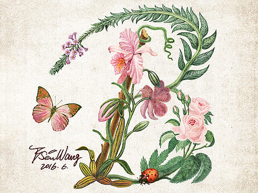 花鸟插画字体设计（1）