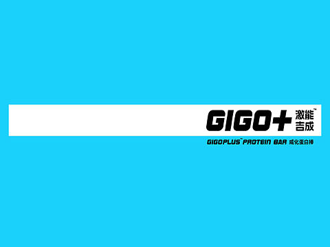 GIGOPLUS激能吉成蛋白棒包装