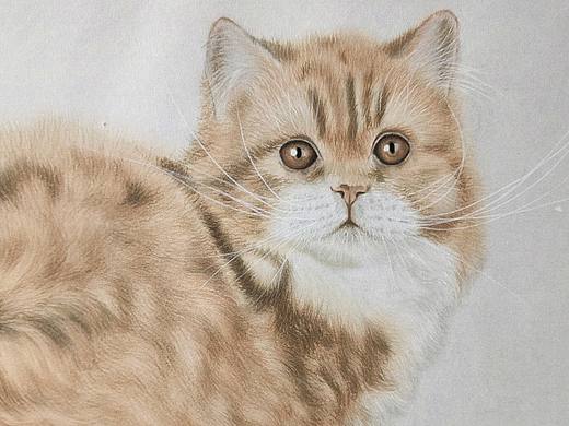 四尺整张生宣工笔猫