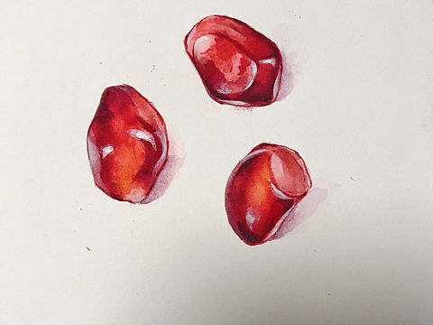 水彩石榴（個(gè)人主頁-ZMzIxNDU5Njg=） - 繪畫 - 站酷設(shè)計(jì)師didoyu原創(chuàng)素材 - 站酷ZCOOL