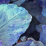 HUI发生什么呢的头像