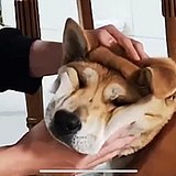 啦啦啦哈哈哈1234的头像