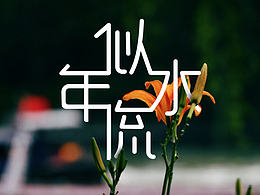 《似水流年》字體設(shè)計(jì)包裝