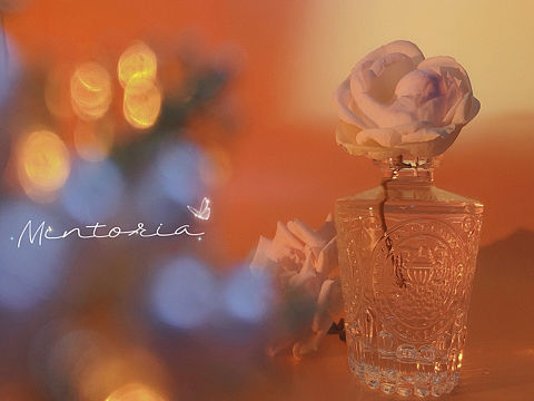 花花随拍（个人主页-ZNTY3NzA4ODQ=） - 其他摄影 - 站酷设计师Mintoria原创素材 - 站酷ZCOOL