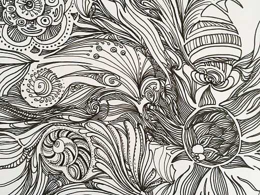 原创 手绘 黑白插画 植物 动物 水草