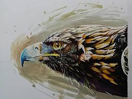素描 色彩  装饰画