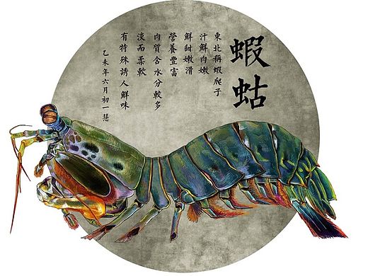 秘密海鲜
