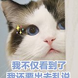 BingoNew的头像