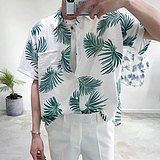 Designxz的头像