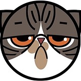 鸟人Gabe的头像