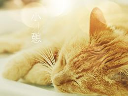 胖虎的日常（一）消魂睡姿集锦