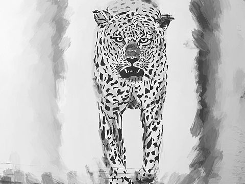 本周的练习20170819