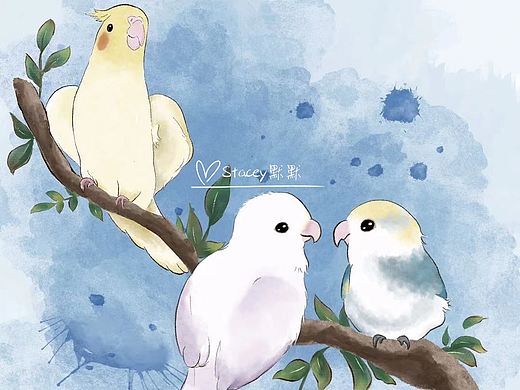 客片小鸟照片转手绘水彩风