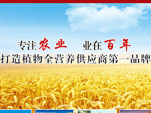 盛大神龙