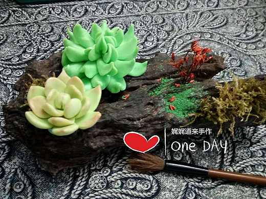 软陶多肉，朽木可“雕”且春意怏然～