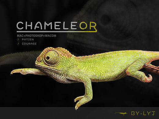 CHAMELEOR 满满的颗粒感