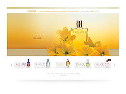香水主題網(wǎng)頁設(shè)計(jì) 平面 排版 web