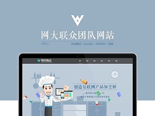 网大联众团队网站设计