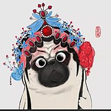 四时啊四时的头像