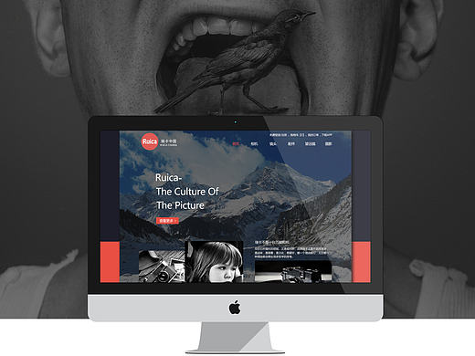 Ruica相机 电商 网页设计