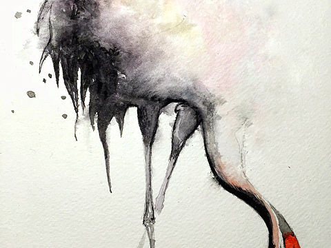 【无】