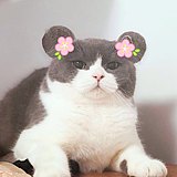Pzz_Monica的头像