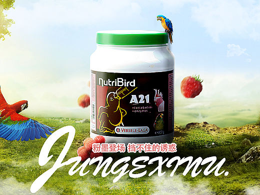 合成海報(bào)（臨摹）（個(gè)人主頁(yè)-ZMTYxNTE1ODA=） - 海報(bào) - 站酷設(shè)計(jì)師JSIEW原創(chuàng)素材 - 站酷ZCOOL