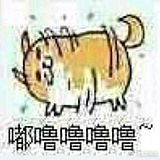 YinJianXY的头像