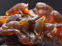 琥珀雕刻—狼圖騰