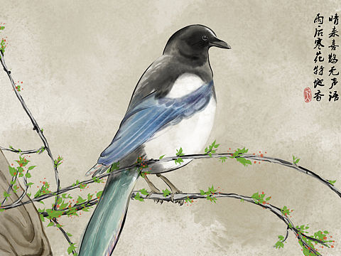 古风喜鹊[z健身][z健身][z健身]（个人主页-ZNTMwNjgxNjg=） - 创作习作 - 站酷设计师Wu翠花原创素材 - 站酷ZCOOL