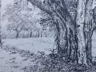 樹木（一）（個人主頁-ZNzMwNjgyOA==） - 繪畫 - 站酷設(shè)計師隨風夢囈原創(chuàng)素材 - 站酷ZCOOL