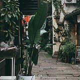 得失去留的头像