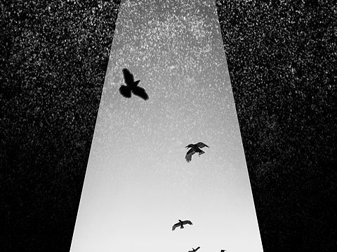 【你好，抑郁】
