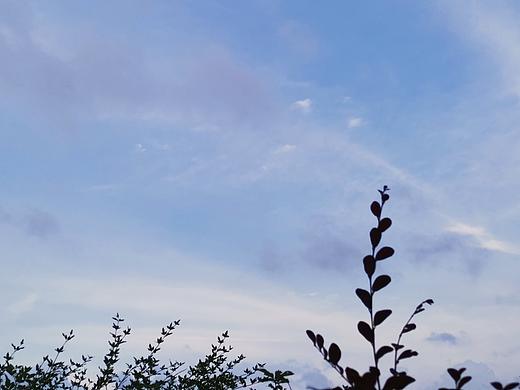 天空,夕阳,手机摄影