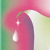 三七七_377的头像