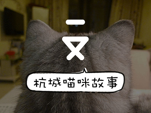 杭城一只(喵)-新进宫的宦党nono