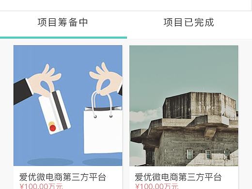 金融APP众筹-项目