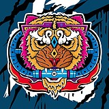杜佳奇插画的头像
