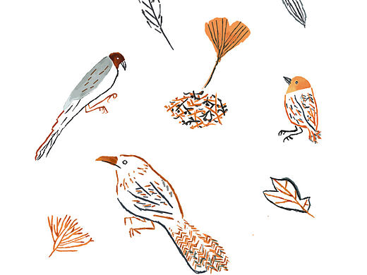 手绘花鸟（个人主页-ZMTgzNzA5MjA=） - 创作习作 - 站酷设计师FantineDay原创素材 - 站酷ZCOOL