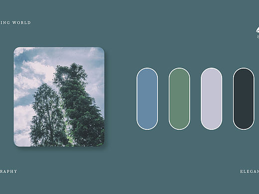 滴滴点点，都是生活