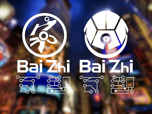 《家》、《熊眼》