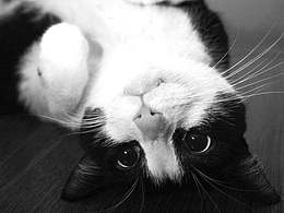 超市展板-8千米