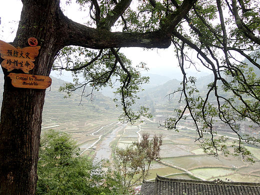 我的攝影（個人主頁-ZMTgyNTQ3NzY=） - 風(fēng)光攝影 - 站酷設(shè)計師伊修順原創(chuàng)素材 - 站酷ZCOOL