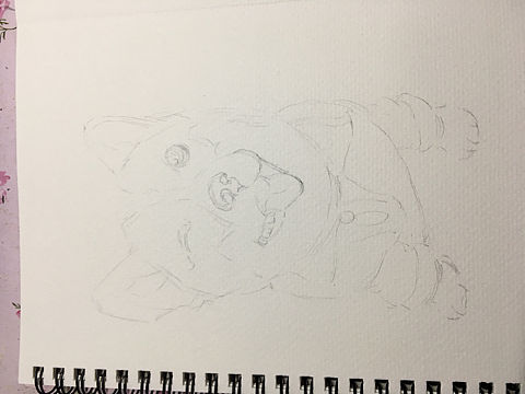 柯基水彩画（个人主页-ZMjA5NzE1OTY=） - 创作习作 - 站酷设计师海鸟酱原创素材 - 站酷ZCOOL