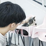 广东男模的头像